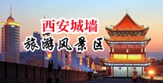 大鸡巴猛插入操逼免费中国陕西-西安城墙旅游风景区